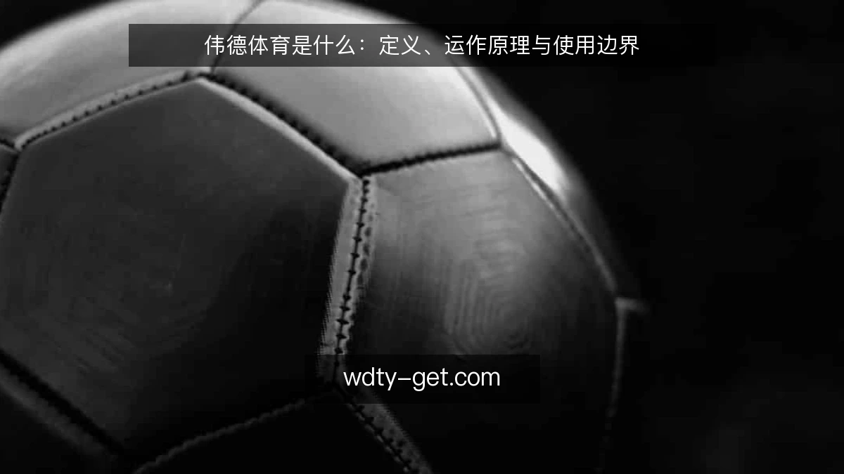 伟德体育是什么：定义、运作原理与使用边界