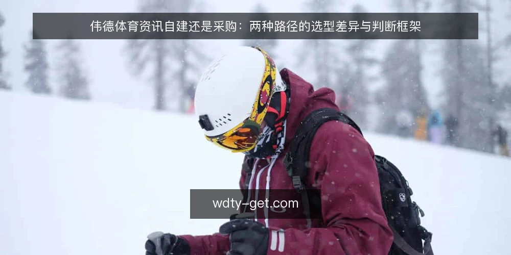 伟德体育资讯自建还是采购：两种路径的选型差异与判断框架 — 先定义需求边界，再谈自建还是采购 配图
